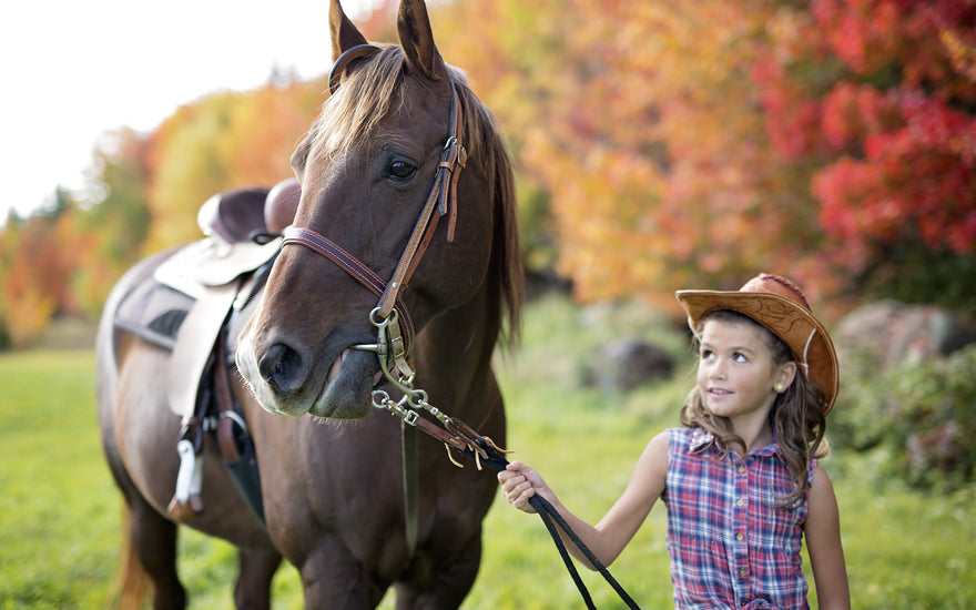 Bambina con cavallo