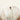 particular white women's camperos model Heritage by Ariat