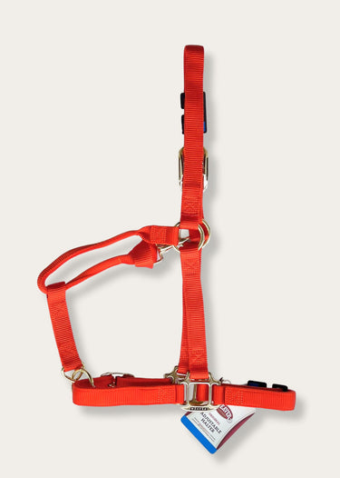 Orangefarbenes verstellbares Halfter von Weaver Leather