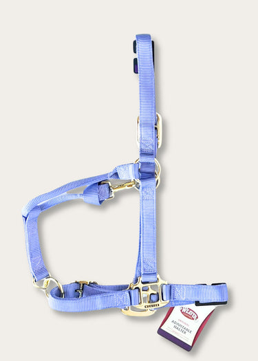 Lavendelfarbenes verstellbares Halfter von Weaver Leather