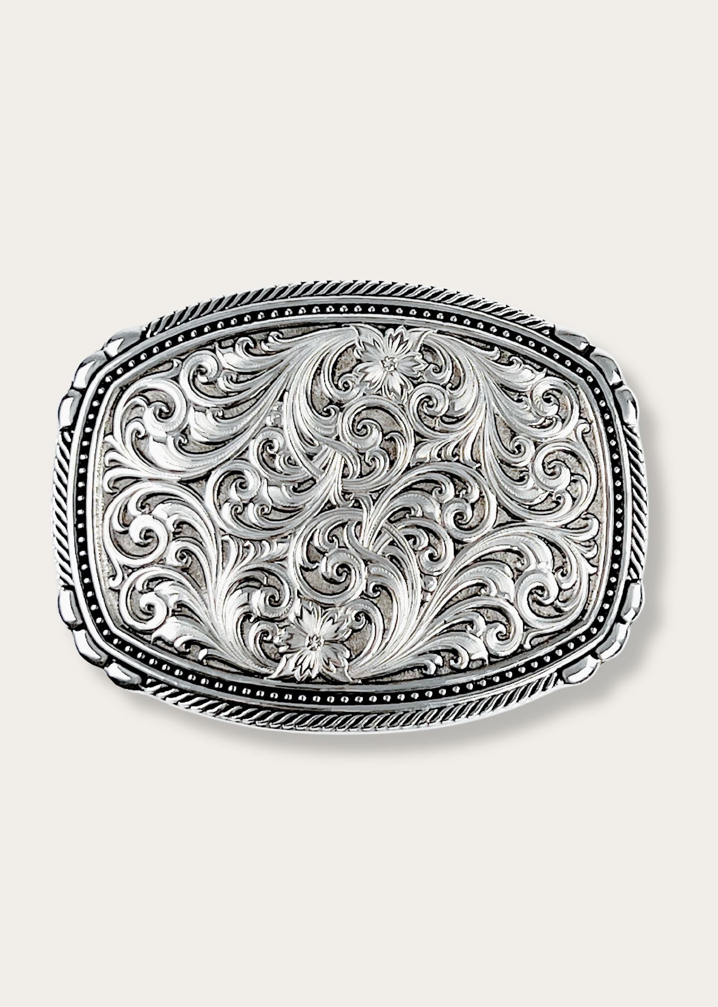 Fibbia Antiqued Pintpoints and Twisted Rope Trim di Montana Silversmith