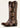 Stivali Texani donna Hazen Star X Toe Ariat 2