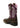 Detrás Botas cowboy de niña Tombstone Vintage Bomber de Ariat