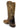 derrière Bottes de cowboy Old West pour homme Akron