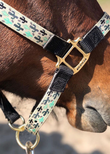 Licol en cuir de cactus Weaver