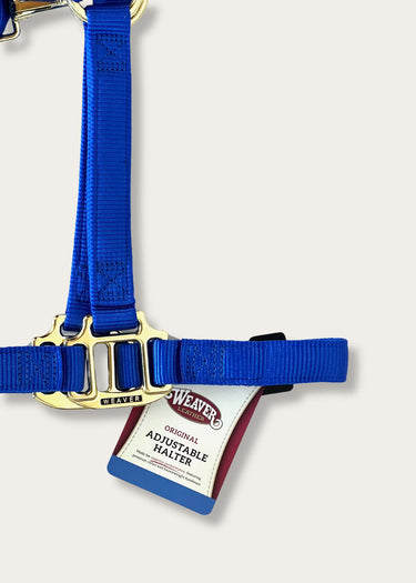 détail de couture Licou bleu réglable par Weaver Leather