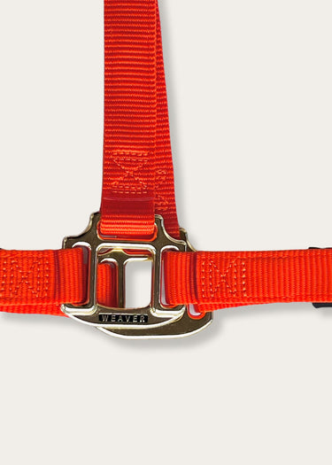 Détails de la quincaillerie Weaver Leather's Orange colour adjustable halter