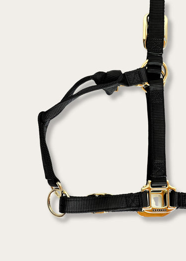 détails des coutures Licou noir réglable par Weaver Leather