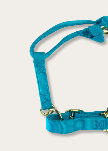 Détail des coutures Licou ajustable turquoise par Weaver Leather