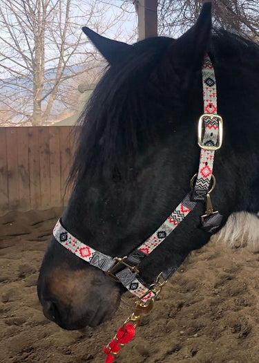 licou aztec crismon de Weaver leather