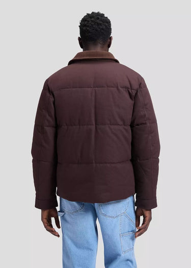Rückansicht der Workwear-Jacke „Relaxed Puffer“ in der Farbe „Chocolate Torte“ von Lee